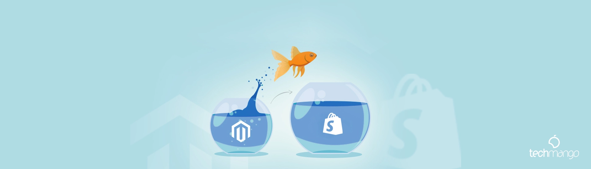 Magento to Shopify Migration 