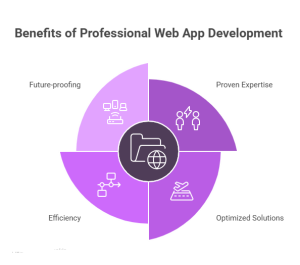 Benefits of Professional Web App Development